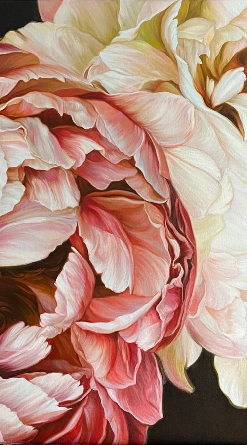 Duet of Peonies 2 by Elena