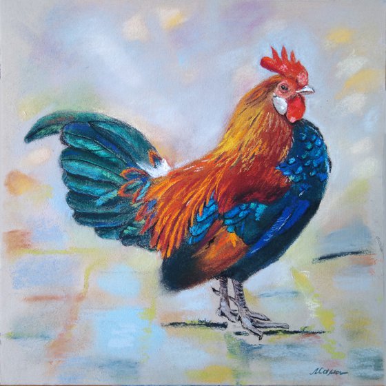 Rooster. Bright, beautiful bird, a gift for him