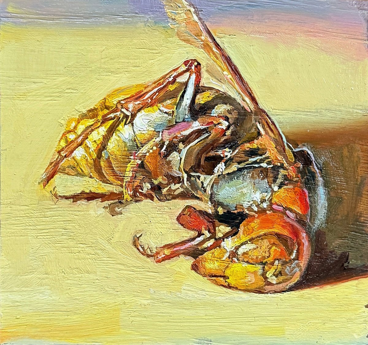 Photorealistic Animal Oil Painting By Igor Galan, 5 X 5, Dead Hornet, Original Artwork