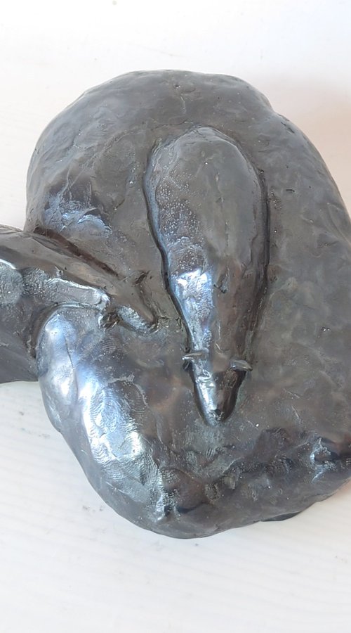 The Flow of the flock by Nerijus Kisielius