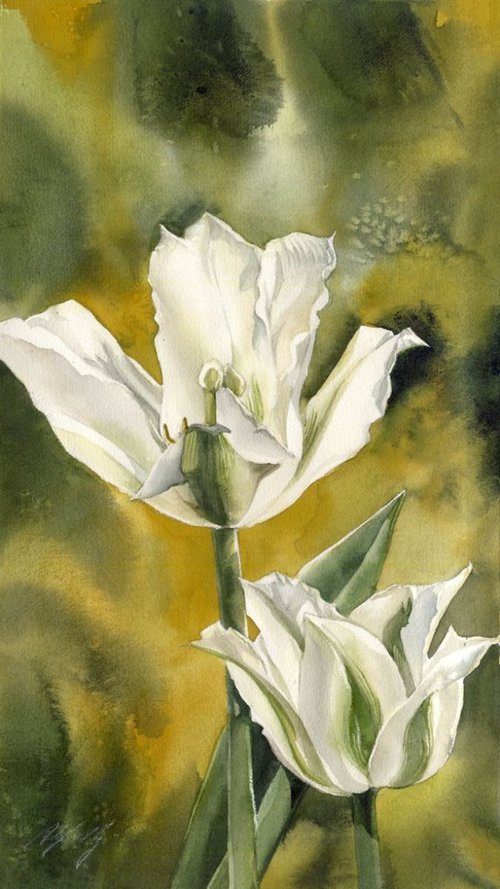 Grasshopper tulips by Alfred  Ng
