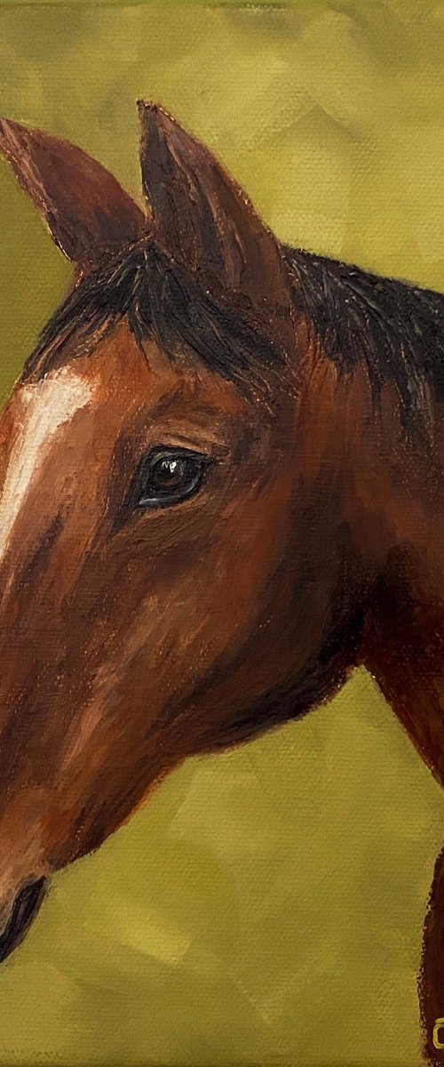 Horse by Olga Kurbanova