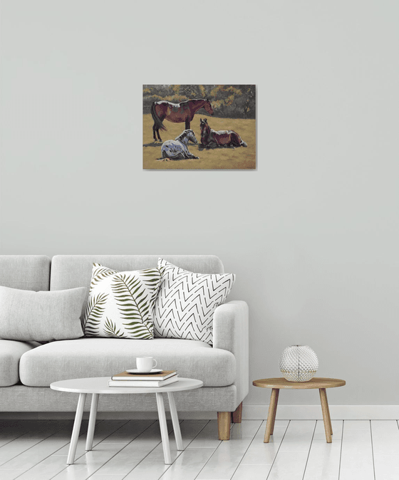 Chilling Out - Three Horses