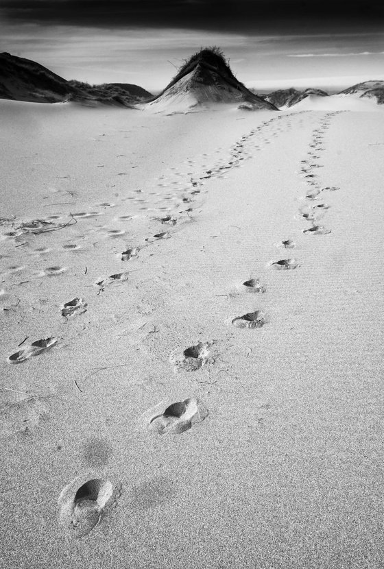 Tracks Sandwood Beach  - Scotland