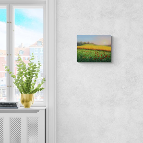 Wheat field in summer