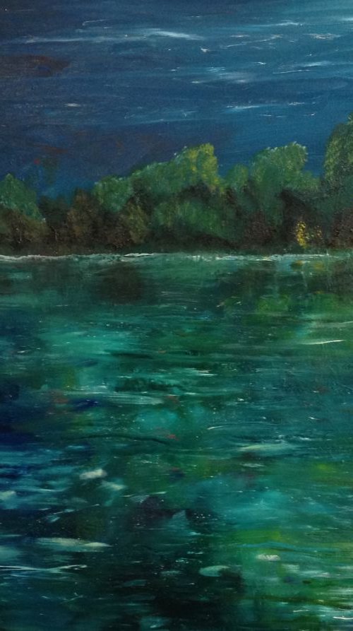 Full Summer Moon by Donna Daniels