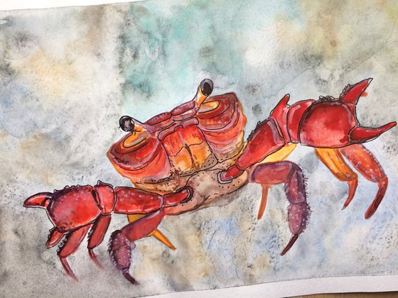 Animal original painting - Red Crab mixed media watercolor - Nautical wall art - Gift idea