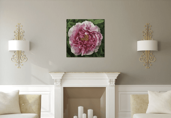 peony flower