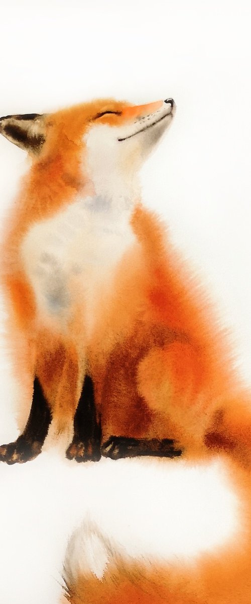 Red Fox - foxy - fox portrait by Olga Beliaeva Watercolour