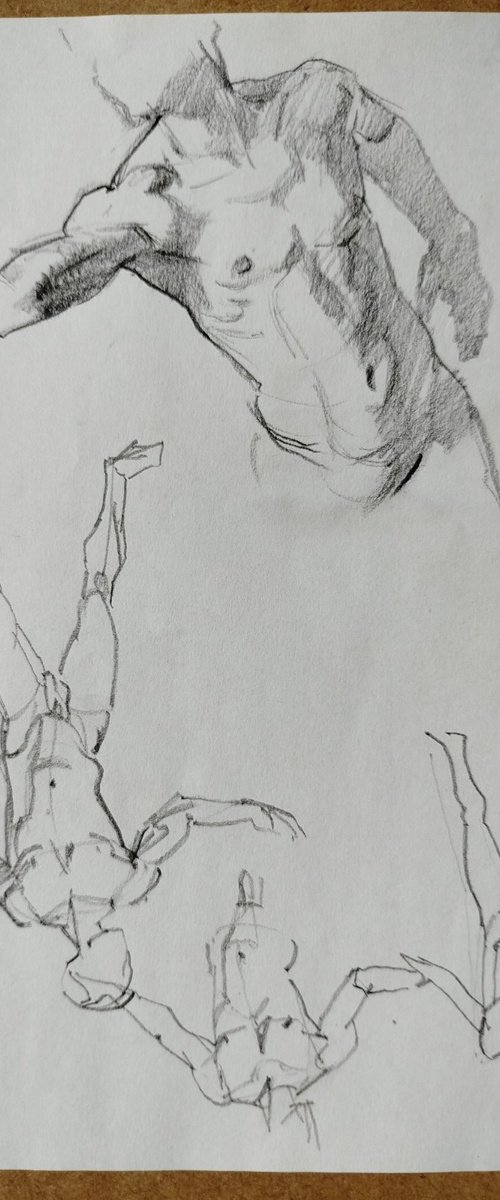 Sketch 6 by Viktoriia Pidvarchan