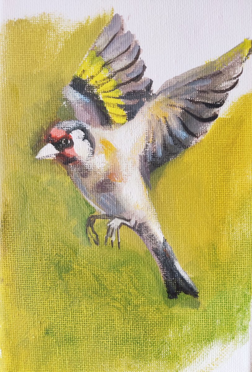Goldfinch by HELINDA (Olga Muller)