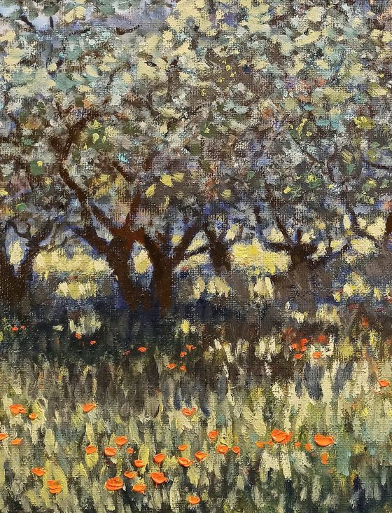 Olive groves of Provence