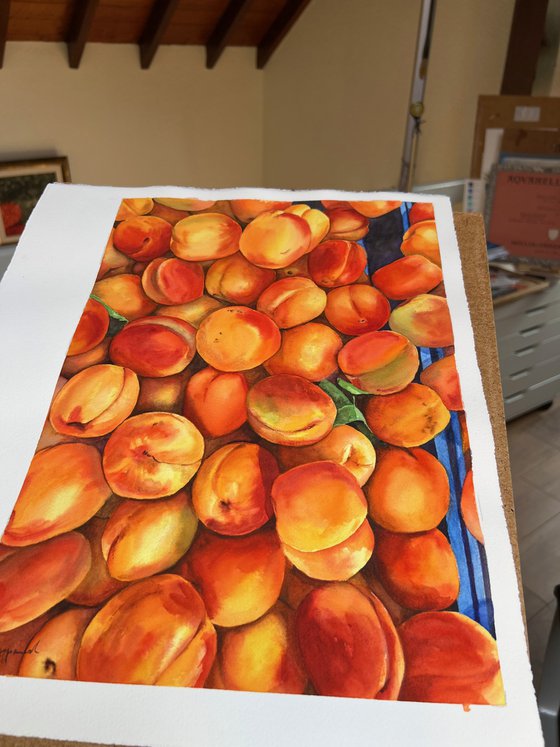 Apricots