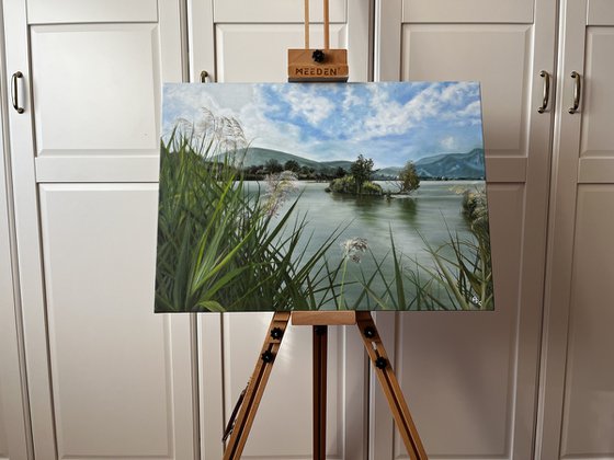 Whispers of the Sebino Wetlands