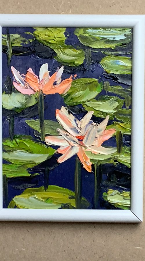 Water Lilly pond. by Vita Schagen