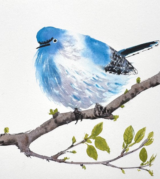 Blue-gray Gnatcatcher Bird