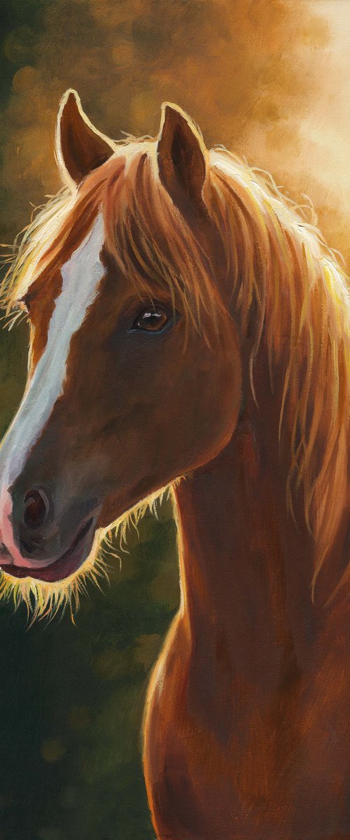 Brown horse portrait at sunset by Lucia Verdejo