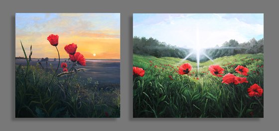 Poppies. Suset. 80x80 cm. &  Poppies. 100x80 cm.