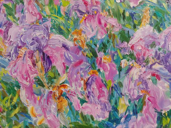 Irises in the light of the wind.