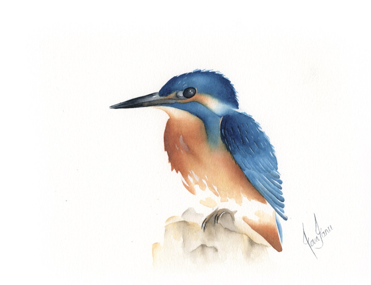 Kingfisher by ieva Janu