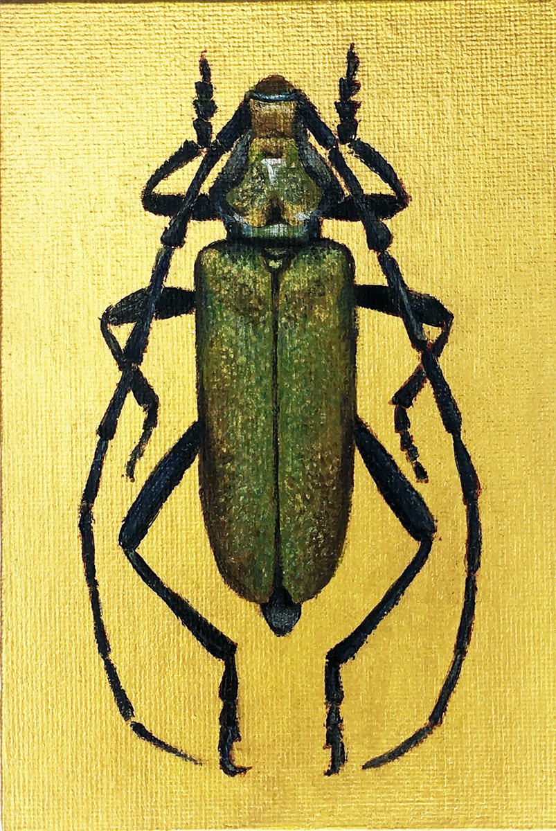 AROMIA MOSCHATA - Golden collection of beetles by Tatiana Voskresenskaya