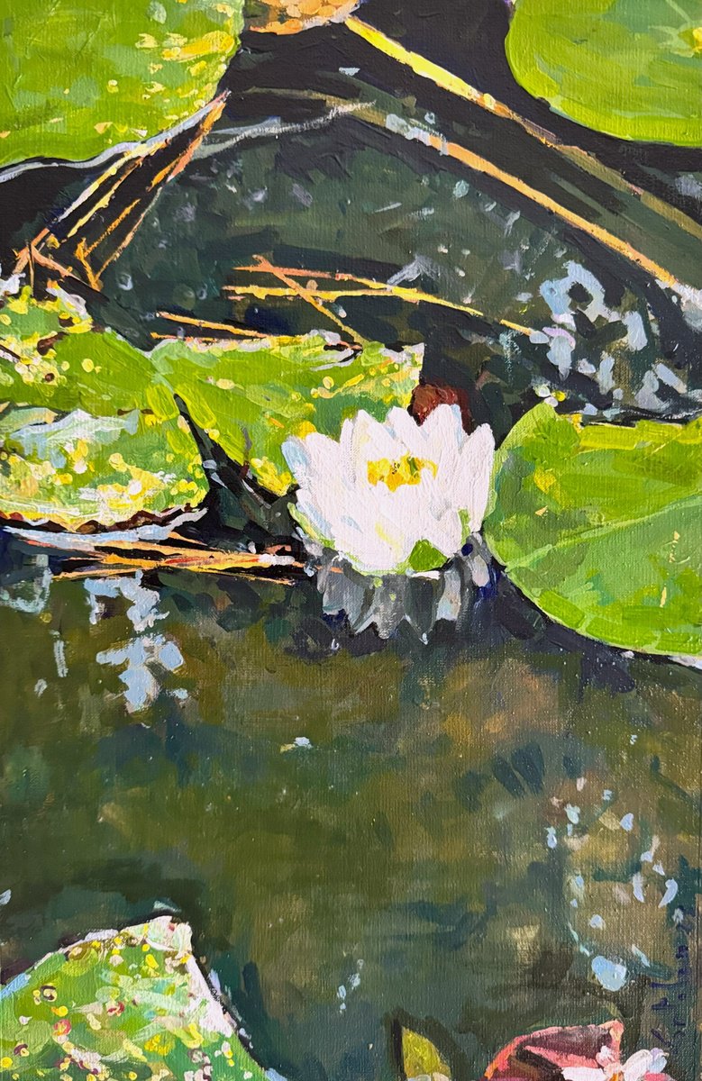 Impressionistic Botanical Oil Painting By Marco Ortolan, 10 X 16", Waterlilies, Original Artwork