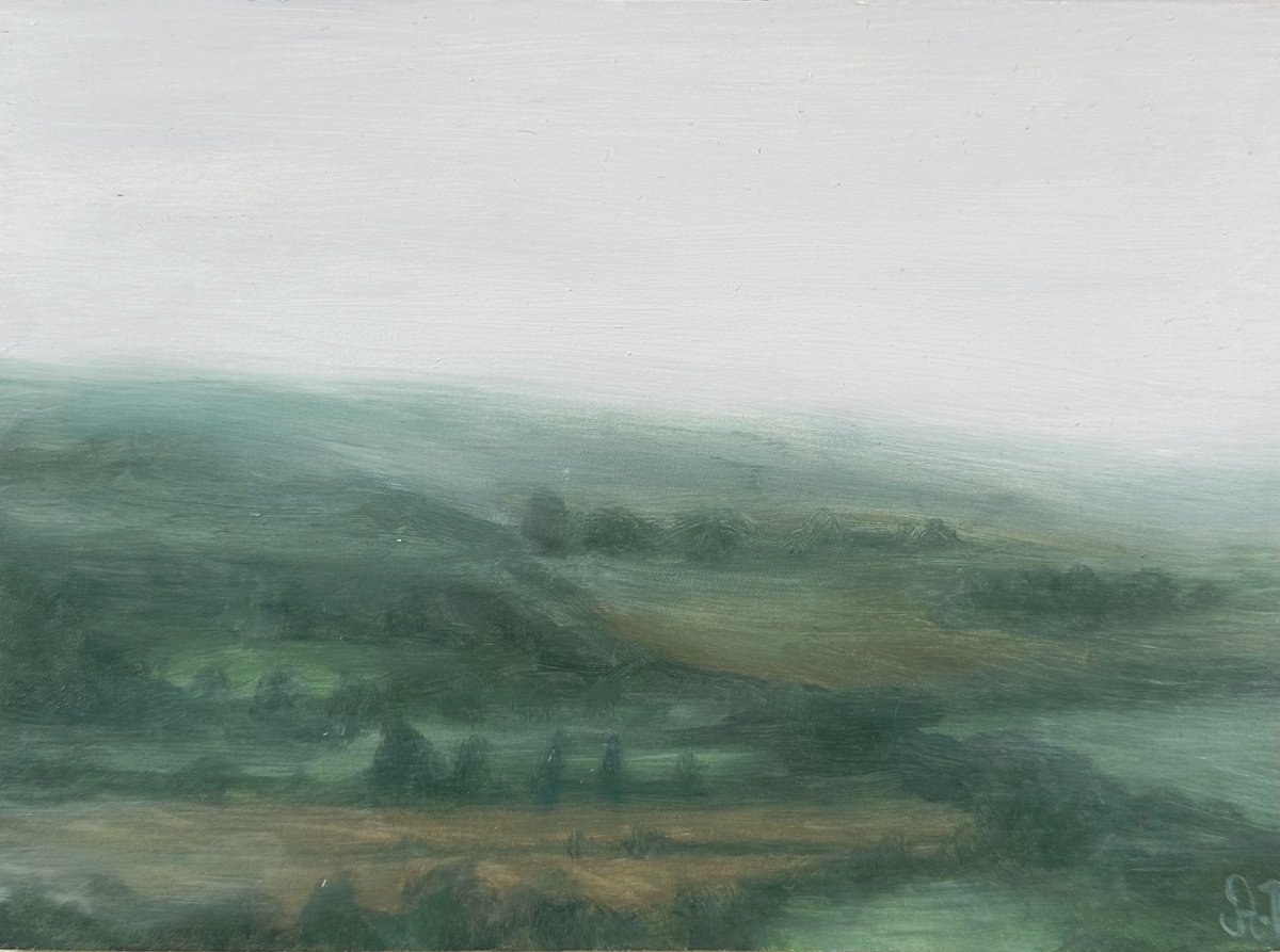 Foggy fields by Amy Devlin