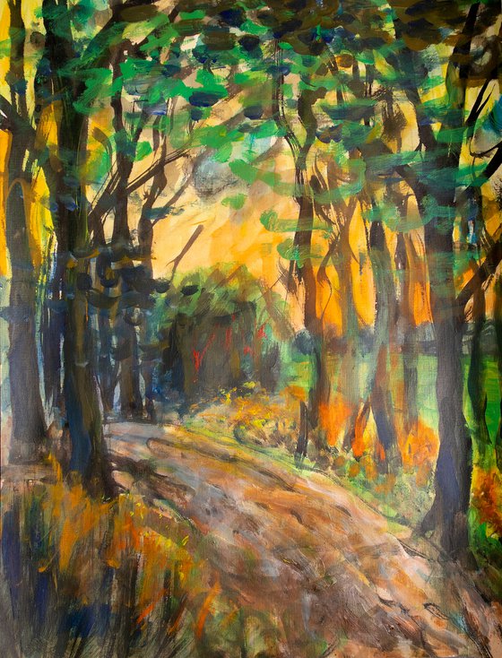 Evening forest sun sketch