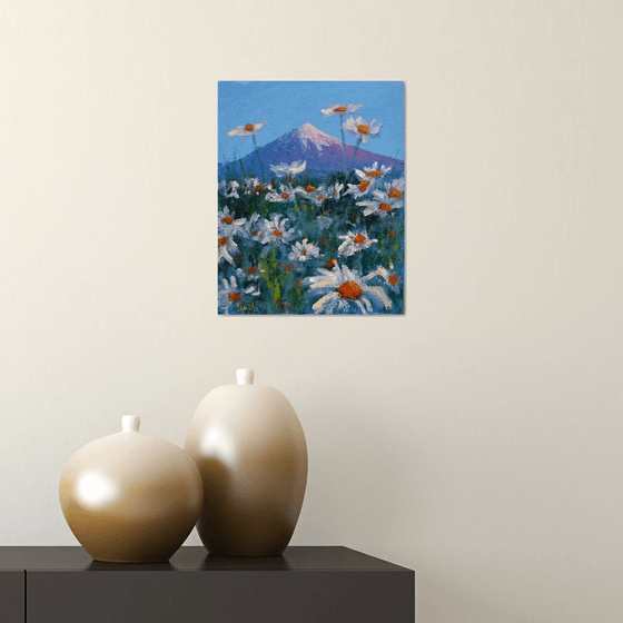 Japanese meadow daisies 30X24