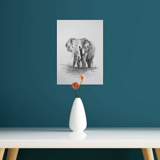 African Elephant