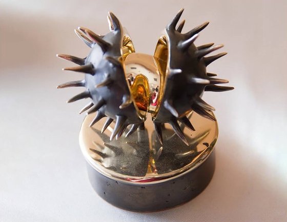 "Chestnut" from the *Fruits* series