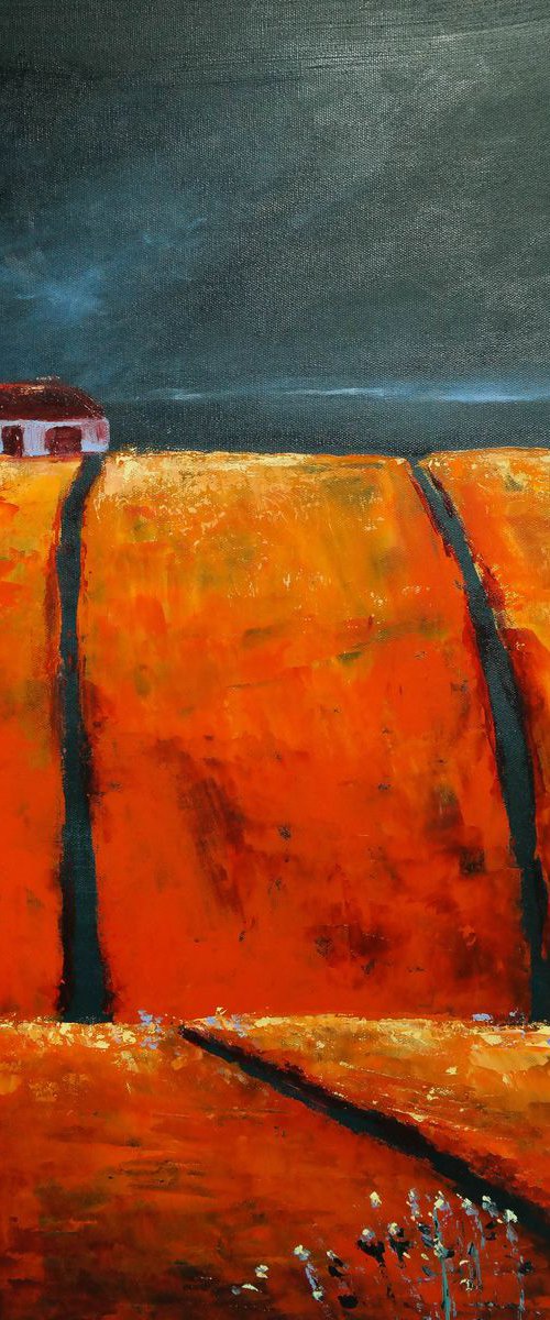 The Orange and the storm by Danijela Dan