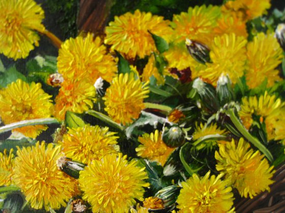 Yellow Dandelions in Basket