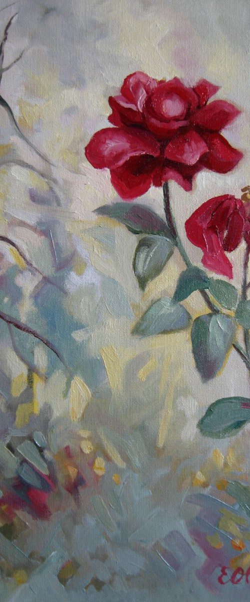 Red rose by Elena Oleniuc