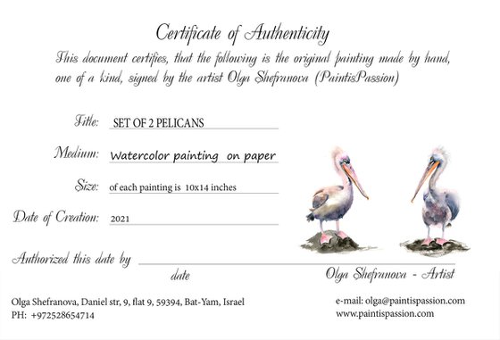 Set of 2 Pelicans  - Original Watercolor Paintings
