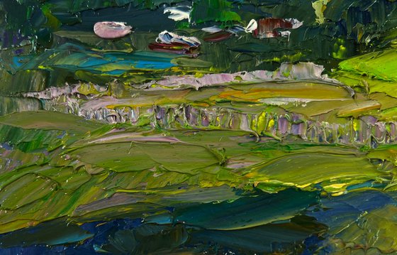 Birch Grove in the Light of the Morning Sun