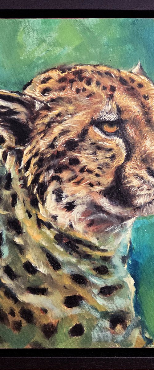 Leopard of Disdain (2025) by Christopher Abrams