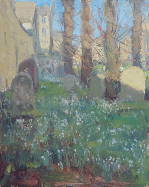 Snowdrops in the Shade, St John's, Burford by Alex James Long