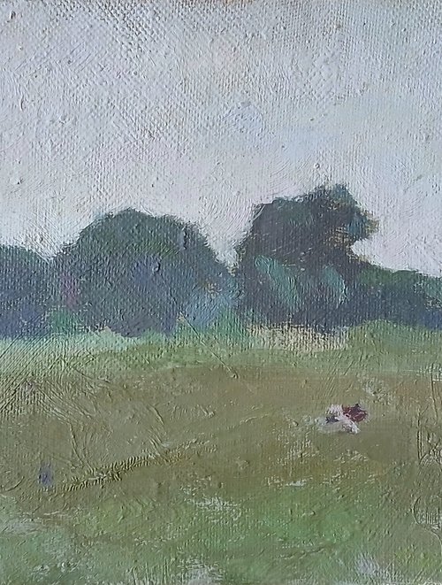 Quiet Meadow by Vasyl Koval