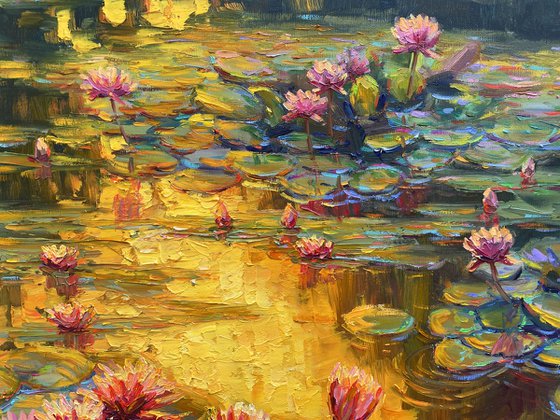 "Water lilies"