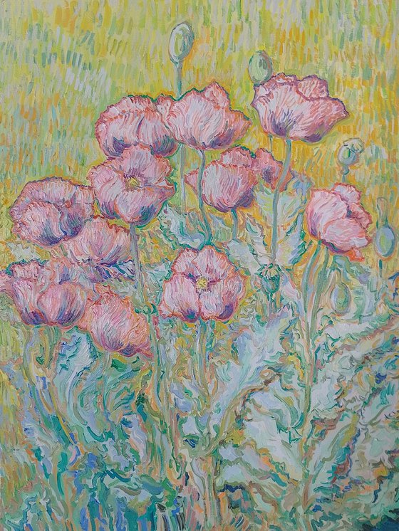 Wild Poppies