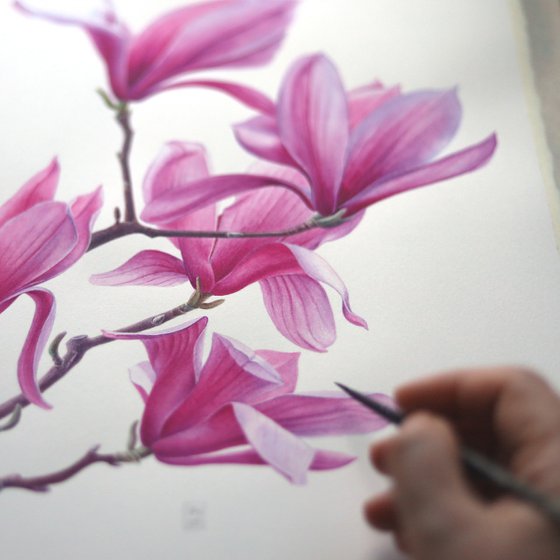 Magnolia. Right