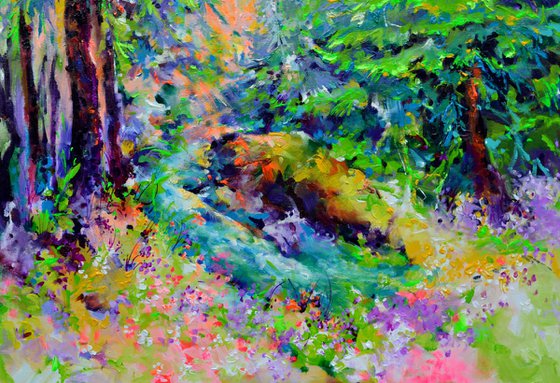 Stream in the Fir Forest