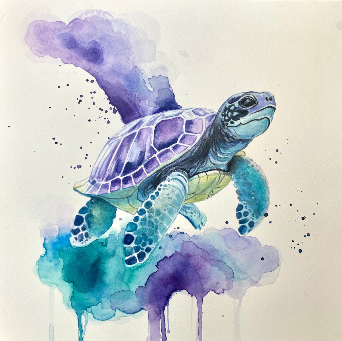 Colourful TurtlePainting by Sandy Broenimann