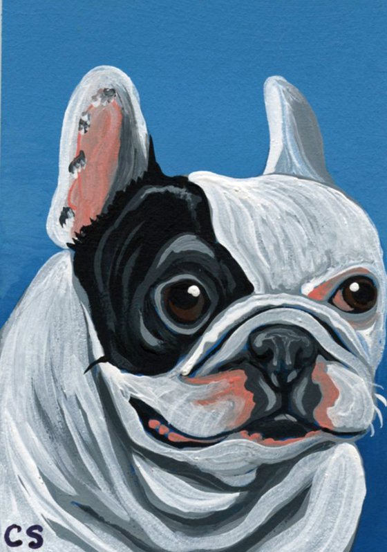 ACEO ATC Original Miniature Painting Pied French Bulldog Pet Dog Art-Carla Smale