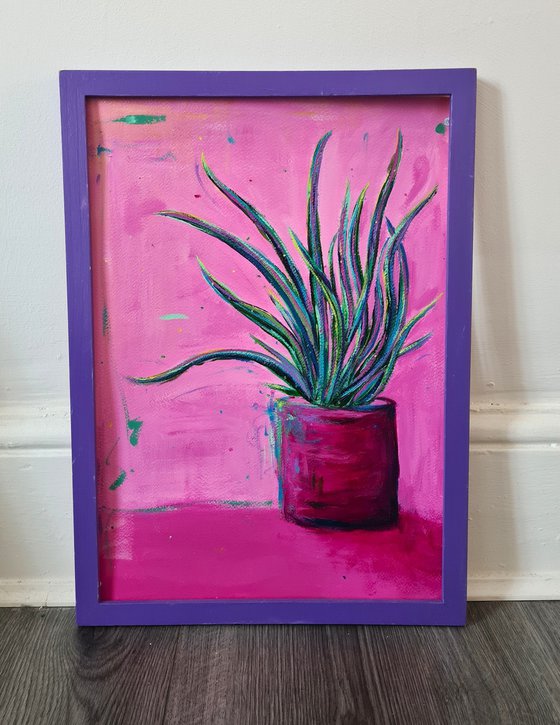 House Plant
