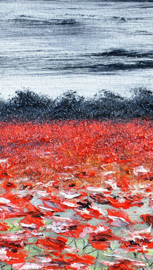 Poppies In The Storm by Daniel Urbaník