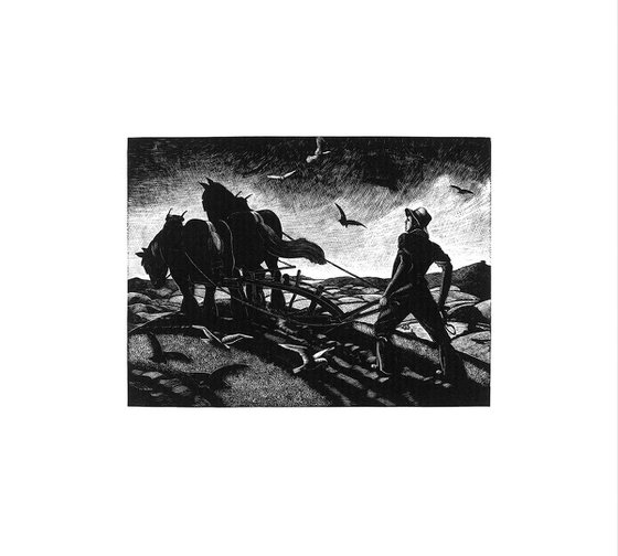 November: Ploughing