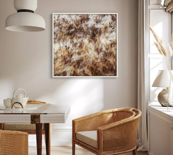 Dancing grains (studio 9)