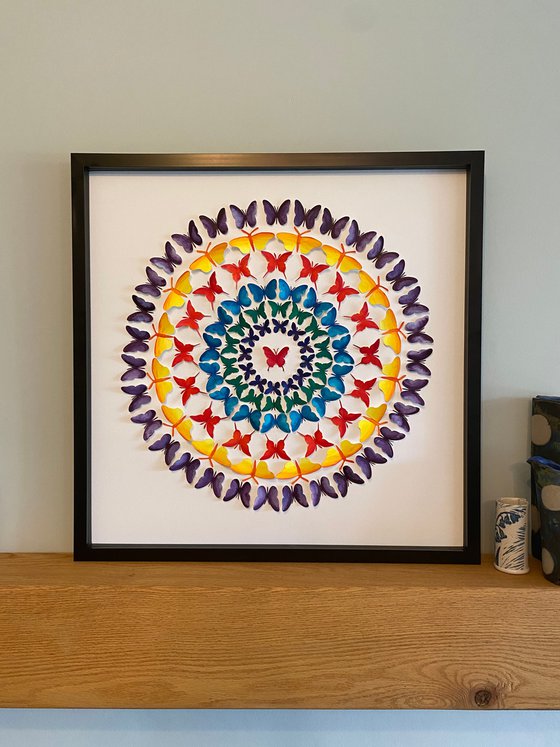 Butterly Mandala